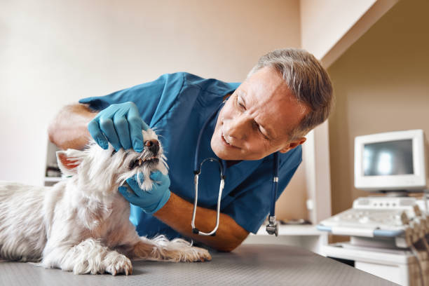 Best Emergency Tooth Extraction in Horton, KS
